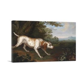 Hunting Dog (Type: Standard Framed Canvas Print, size: 32" x 24" / 80cm x 60cm (approx))